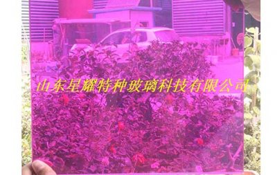 彩色夾膠玻璃